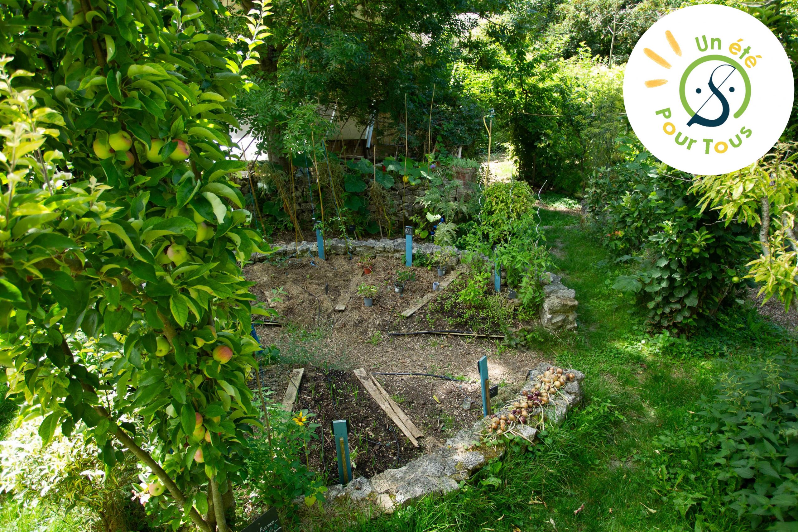 Le potager utilisé pour les ateliers jardin à la Ferme de la Cure, à Sailly.