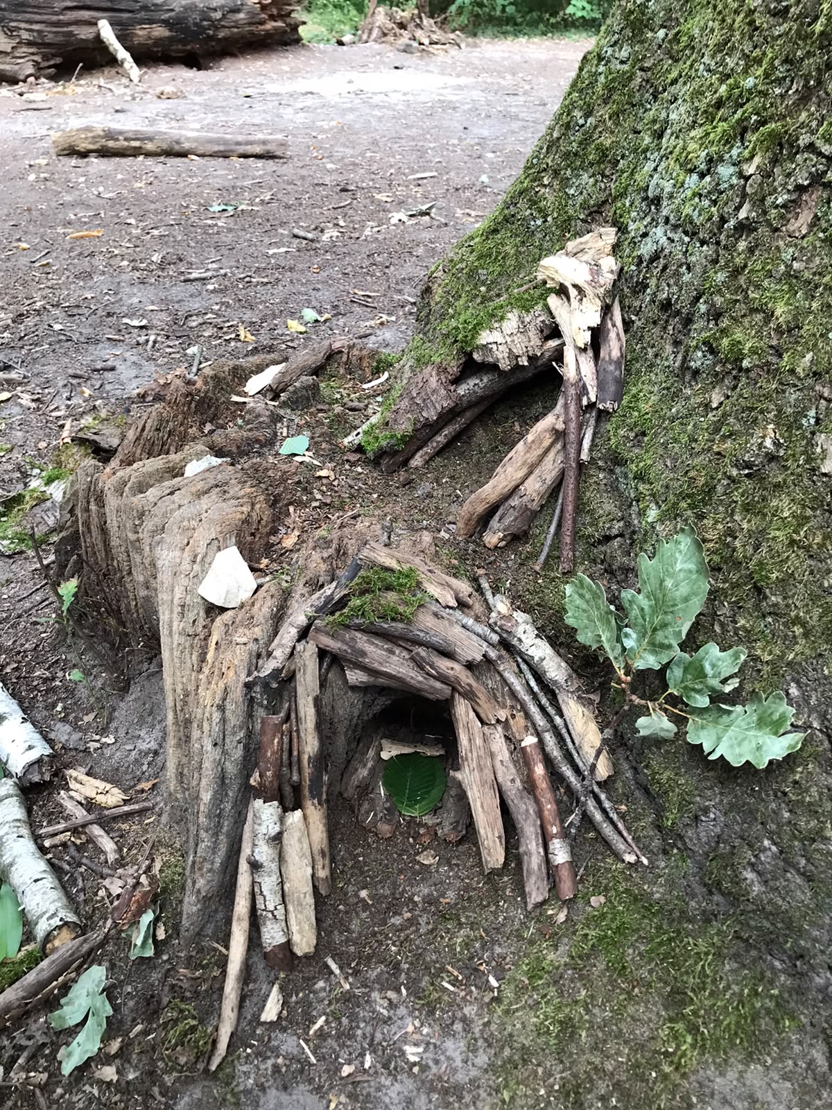 Des enfants ont créé un petit abri pour les animaux à l'aide d'éléments naturels, tels que des morceaux de bois, des feuilles, des brindilles et de la mousse, lors d'une activité du Club Nature.